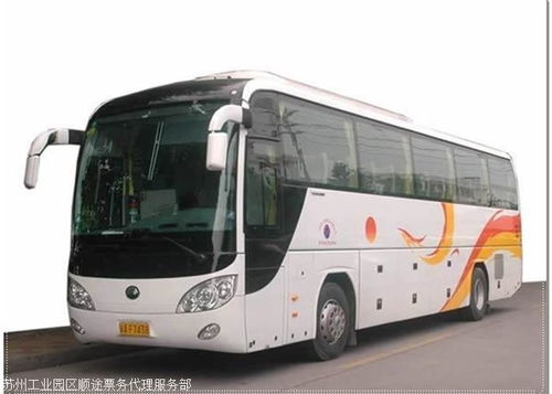 天津至惠州汽車出行全攻略 時刻查詢、站點指南與票務(wù)服務(wù)