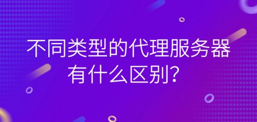 代理服務(wù)器與票務(wù)代理 從數(shù)據(jù)傳輸?shù)椒?wù)體驗(yàn)的差異解析